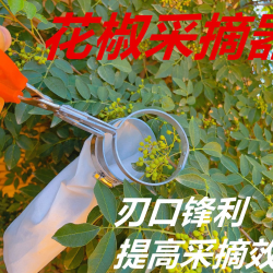 أداة قطف ثمار على شكل مقص مع كيس لتجميع الثمار 8-36