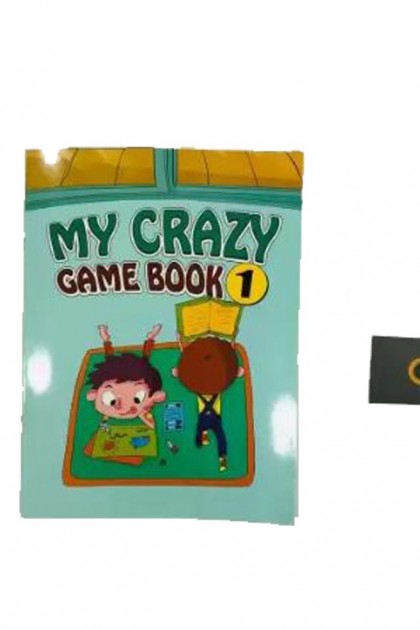 MY CRAZY GAME BOOK1