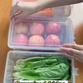 علب تنظيم الثلاجة الحجم الصغير علب تنظيم الثلاجة الحجم الصغير