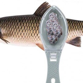 قشارة سمك على شكل سمكة  قشارة سمك على شكل سمكة