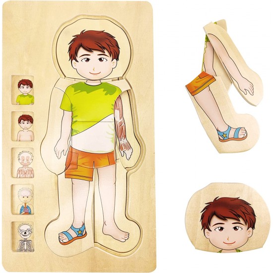 بزل تعليمي لجسم الانسان من الخشب 