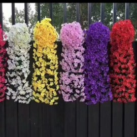 شلال ورد بشكل انيق  شلال ورد بشكل انيق