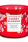 شمعة عطرية Japanese Cherry Blossom برائحة زهور الكرز وخشب الصندل 